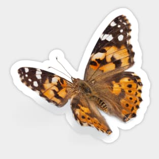 Digital Butterfly Orange Sticker